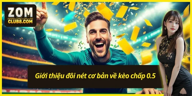 Tổng quan vài ý chính về kèo chấp 0.5 cho Newbie